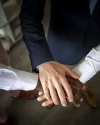 direito-societario-bracher-diniz